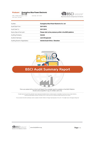 廣州藍(lán)源電子報(bào)告a4583571 summaryauditreport